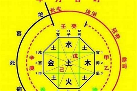 八字五行喜忌|八字五行喜忌查询